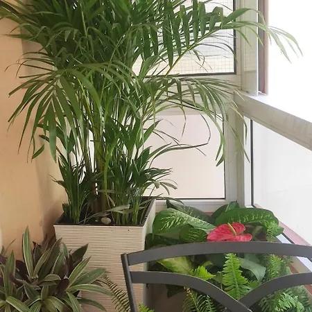 Duplex Centro 3 شقة *